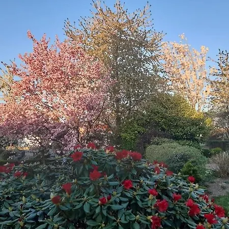 Le Grenier Σπίτι διακοπών Lierneux