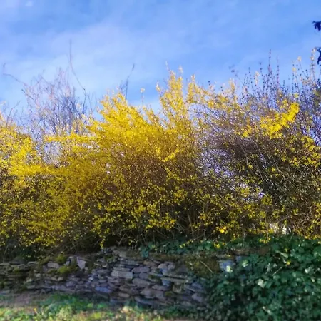 Le Grenier Σπίτι διακοπών Lierneux