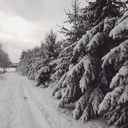 Le Grenier * Lierneux