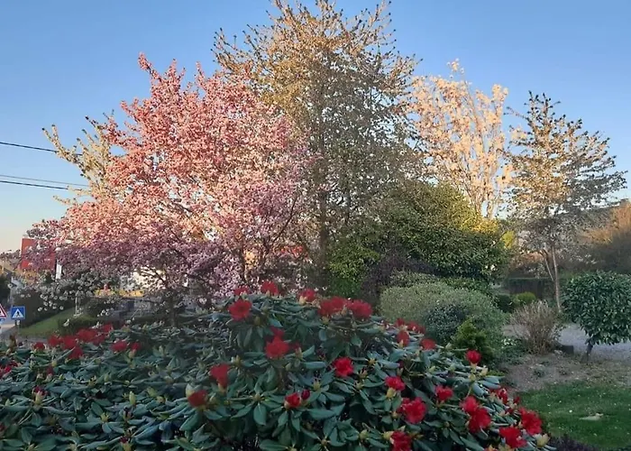 Le Grenier Semesterbostad Lierneux