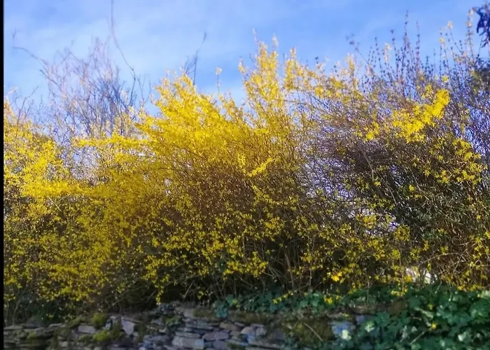 Le Grenier Semesterbostad Lierneux